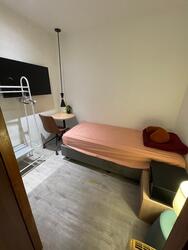Little India Conservation Area (D8), Apartment #591857091